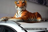 国产四虎精,传奇神话中的守护者与传奇英雄